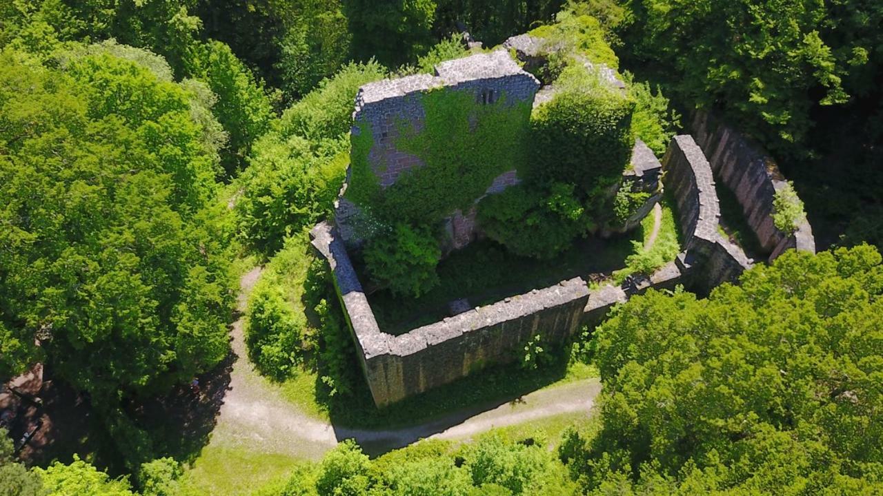 Bungalow Im Schwarzwald Auf Wunderschoenem Anwesen Нойбулах Екстер'єр фото